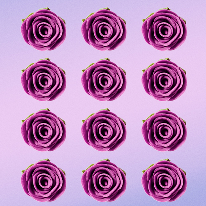 sugar roses for cake cupcake decoration fuchsia pink 120 gms