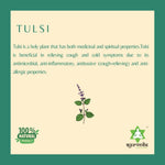 Thumbnail for Ayurvedix Tulsi Ark - Distacart