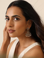 Thumbnail for trueBrowns Silver Jaali Earrings