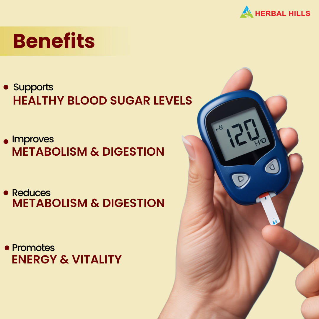 Herbal Hills Ayurveda Dia Care Churna - Distacart