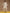 trueBrowns Ivory Gold Cotton Relaxed Co-Ord Set - Distacart