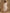trueBrowns Beige Zig-Zag Print Silk Angrakha Kurta Pant Set - Distacart