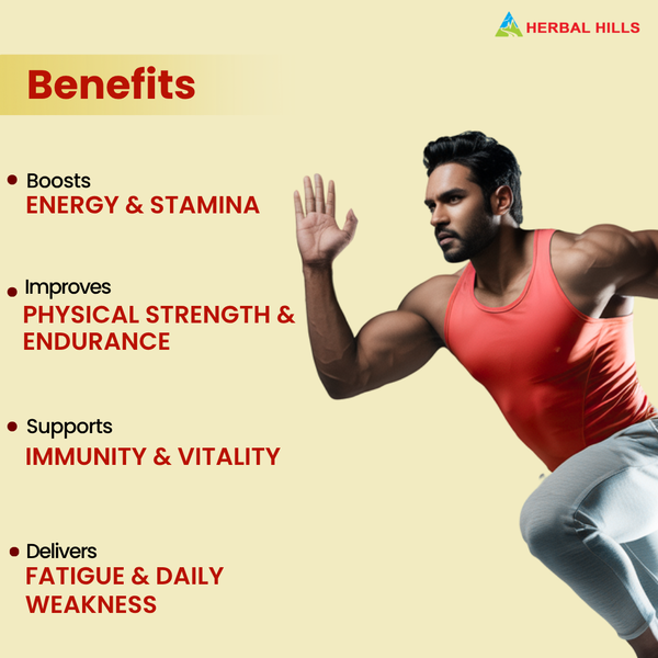 Herbal Hills Sjills Suspension Vitality Support Syrup