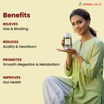 Thumbnail for Herbal Hills Ayurveda Digeshills Tablets - Distacart