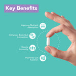Thumbnail for Dr. Morepen Intebact Probiotic Capsules