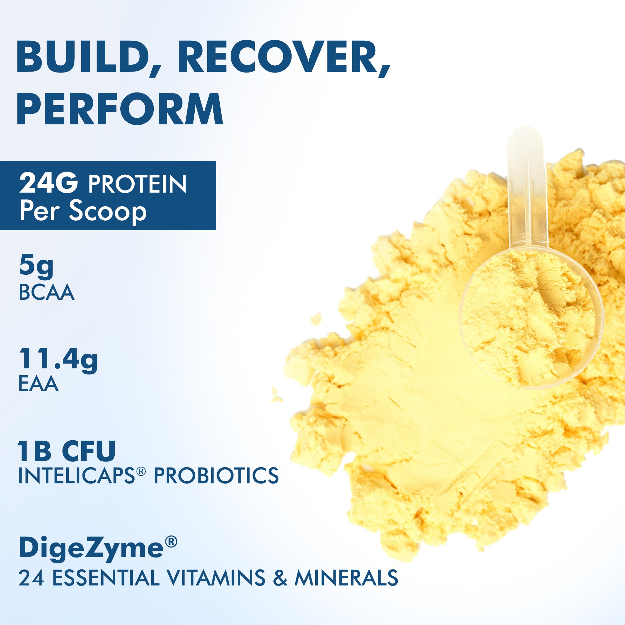 Dr Morpen Muscle Food Whey Protein