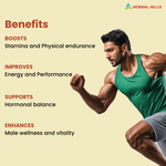 Thumbnail for Herbal Hills Sjills Forte Vitality Support Capsules