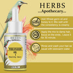 Thumbnail for Zenvista Herbs Apothecary Wheatgerm Oil For Hair - Dista