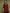 Vishudh Tie-Up Neck Bell Sleeves Straight Kurta