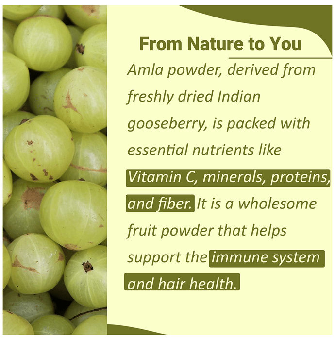 Minature Amla Organic Powder