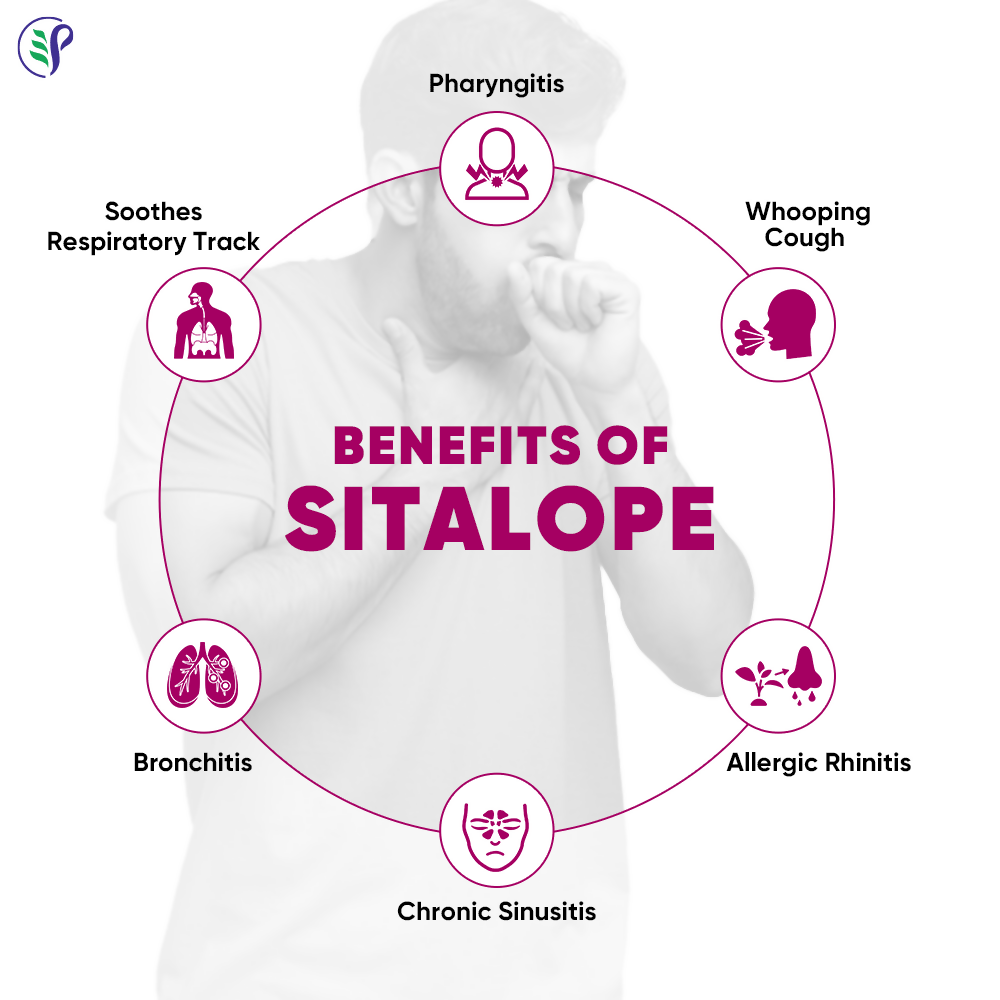 Pathak Ayurvedic Pharmacy Sitalope - Distacart