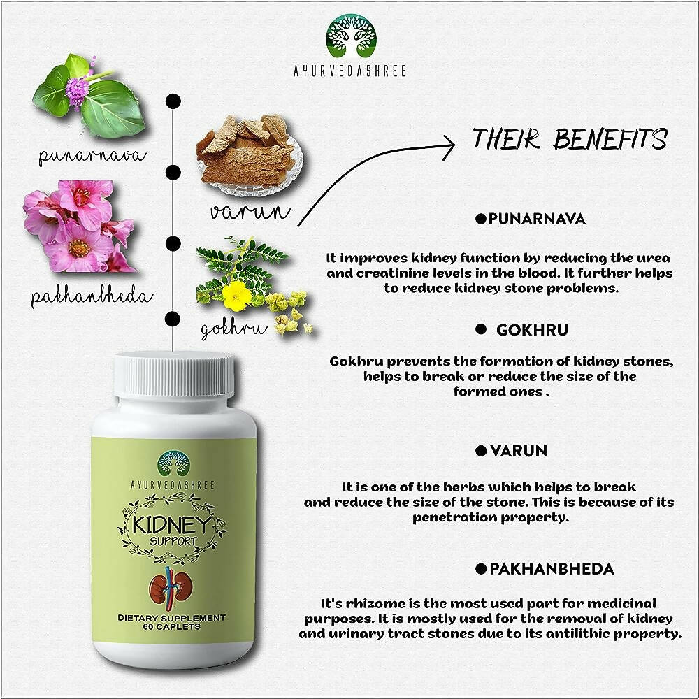 Ayurvedashree Kidney Support Caplets - Distacart