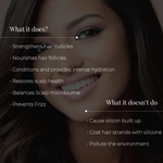 Thumbnail for download - 2025-04-03T111016.333