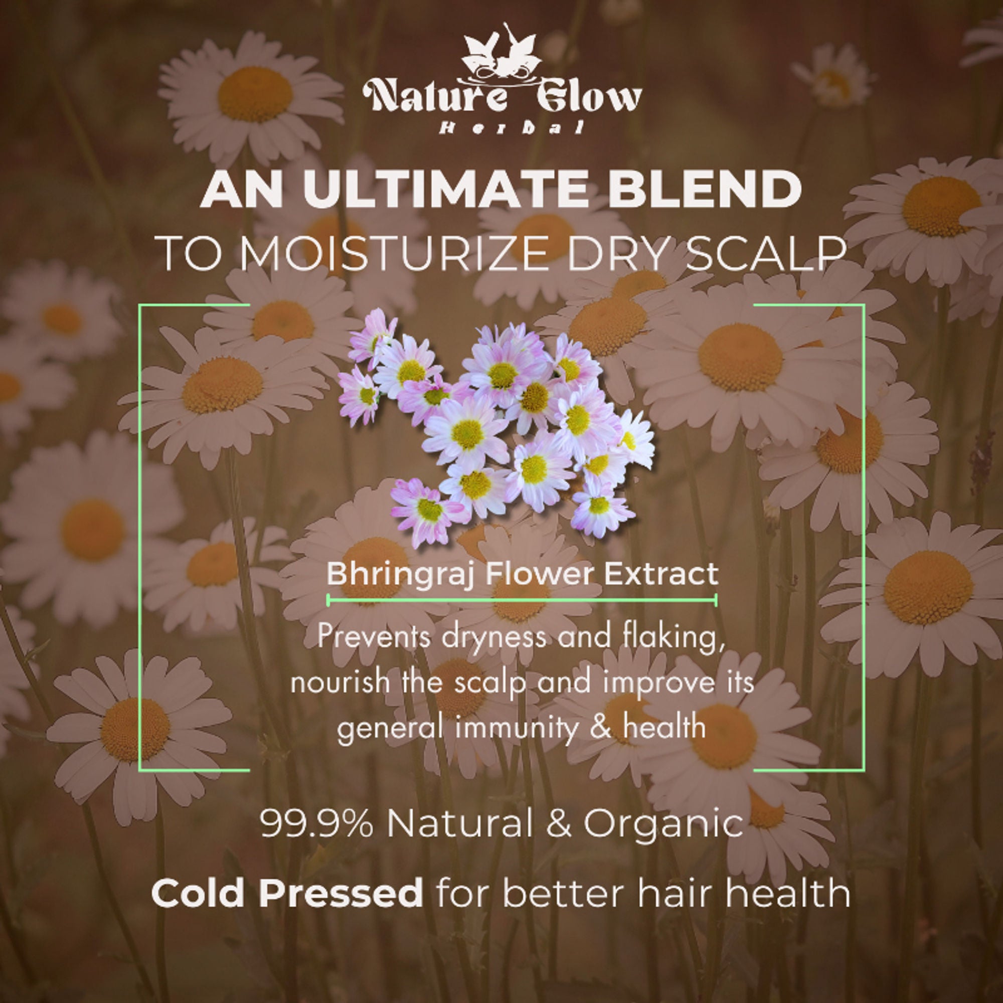 Nature Glow Herbal Bhringraj Oil - Distacart