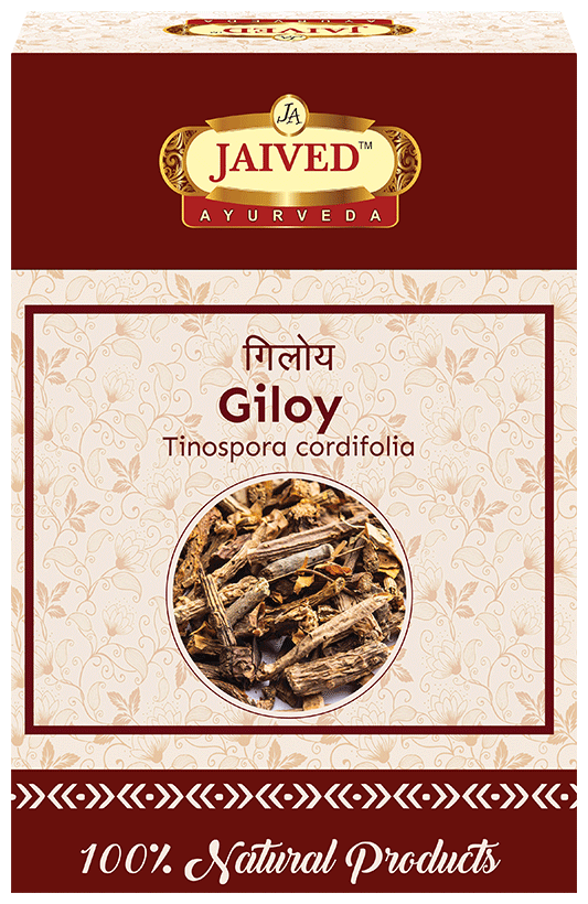 Jaived Ayurveda Giloy | Boosts Immunity, Fights Infections & Enhances Overall Wellness