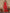 Ode by House of Pataudi Bandhani Printed V-Neck Gotta Patti Straight Kurta with Trousers - Distacart