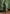 Vellora Cotton Blend Dark Green Casual Wear Embroidery Work Readymade Salwar Suit