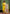 Vellora Cotton Blend Lime Green Casual Wear Embroidery Work Readymade Salwar Suit