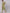 Aks Floral Printed Mandarin Collar Pure Cotton Kurta with Trousers - Distacart