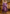 Vellora Silk Blend Lavender Casual Wear Embroidery Work Readymade Salwar Suit