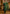 Vellora Silk Blend Dark Green Casual Wear Embroidery Work Readymade Salwar Suit