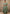 Vellora Silk Blend Sage Green Casual Wear Embroidery Work Readymade Plazzo Suit
