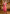 Vellora Silk Blend Pink Party Wear Embroidery Work Readymade Salwar Suit
