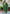 Vellora Silk Blend Dark Green Party Wear Embroidery Work Readymade Salwar Suit