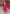 Vellora Silk Blend Pink Party Wear Embroidery Work Readymade Salwar Suit