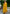 Vellora Vichitra Silk Mustard Party Wear Embroidery Work Readymade Salwar Suit