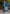Vellora Viscose Roman Silk Blue Ocassional Wear Embroidery Work Readymade Salwar Suit