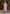 Vellora Silk Blend Lavender Casual Wear Embroidery Work Readymade Salwar Suit