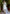 Vellora Silk Blend White Casual Wear Embroidery Work Readymade Salwar Suit