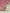 Tehzeeb Creations Bridal Set with sheeshpatti for Girls & Women - Distacart