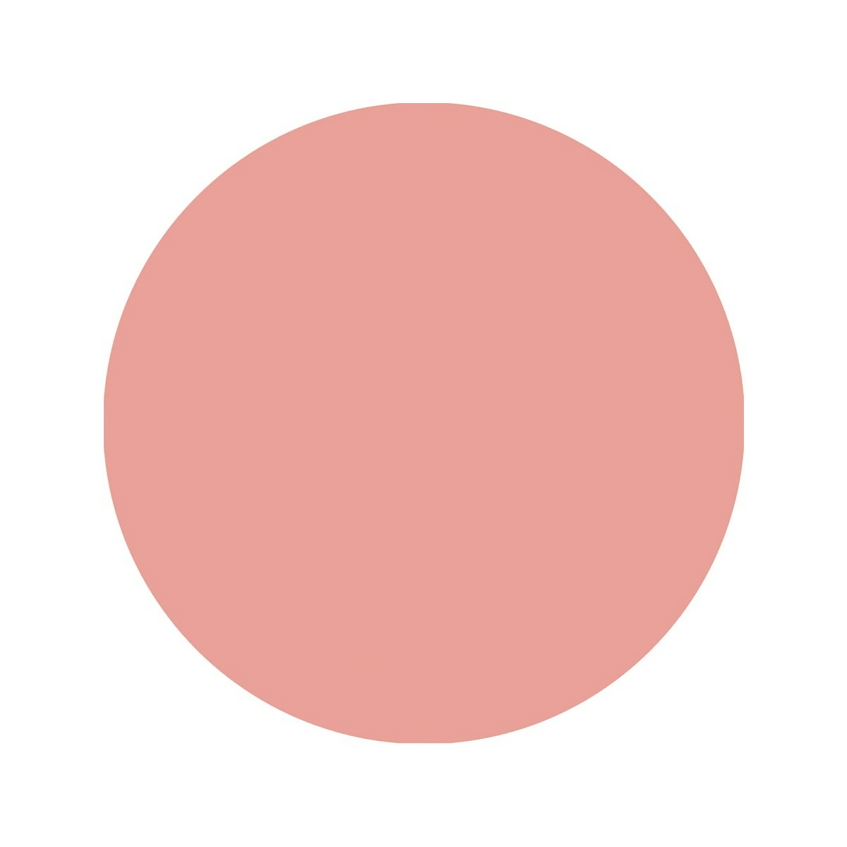 download - 2025-01-21T131310.923