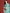 Anouk Ethnic Motifs Foil Printed Regular Sequinned Kurta with Trousers & Dupatta