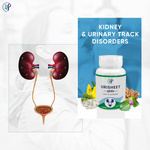 Thumbnail for Pathak Ayurvedic Pharmacy Urisheet Tablets - Distacart