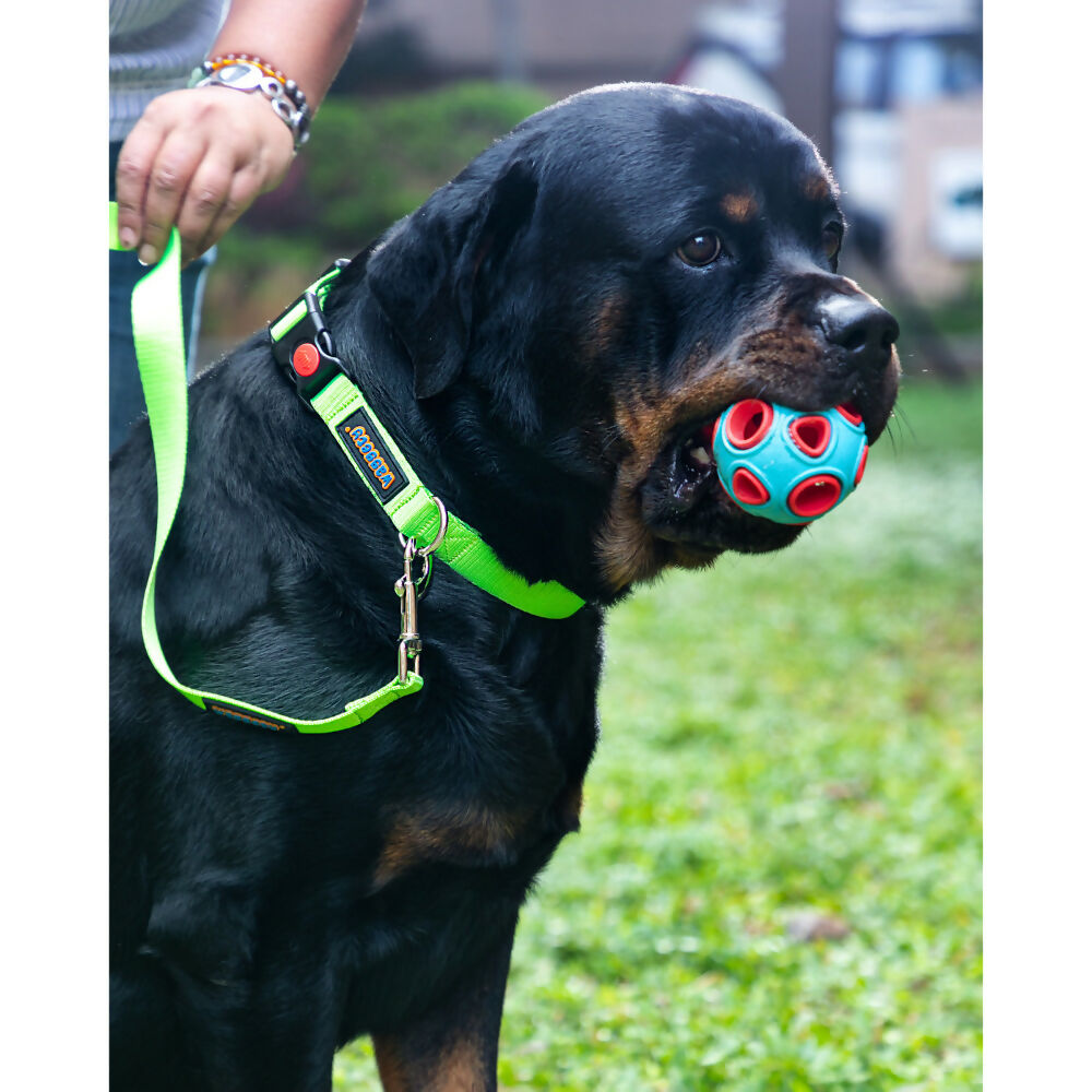 Waggety Dog Leash - Durable Green Polyester, Length - 5Ft, Comfortable Grip, Stylish Pet Leash for Dogs - Dista