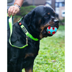 Thumbnail for Waggety Dog Leash - Durable Green Polyester, Length - 5Ft, Comfortable Grip, Stylish Pet Leash for Dogs