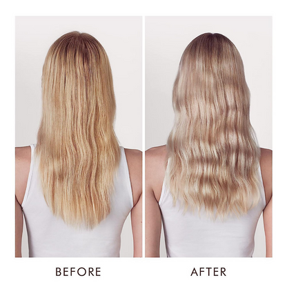 Moroccanoil Color Care Purple Conditioner - Distacart