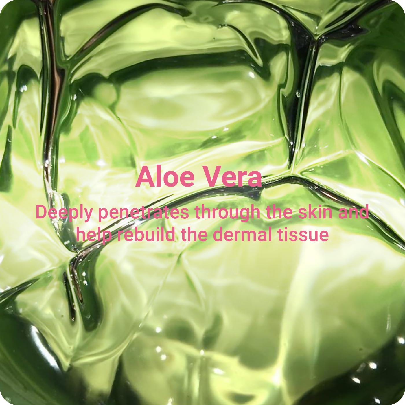 download - 2024-11-11T112828.404