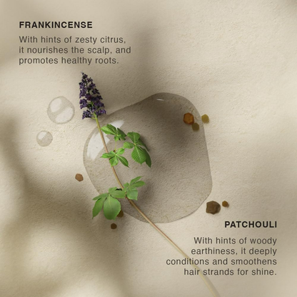 Vinci Botanicals Frankincense Patchouli Hair Cleanser - Distacart