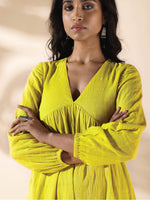 Thumbnail for trueBrowns Lime Cotton Dobby Flared Dress - Distacart