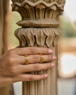 Thumbnail for trueBrowns Gold-Polished Bel Rings - Distacart