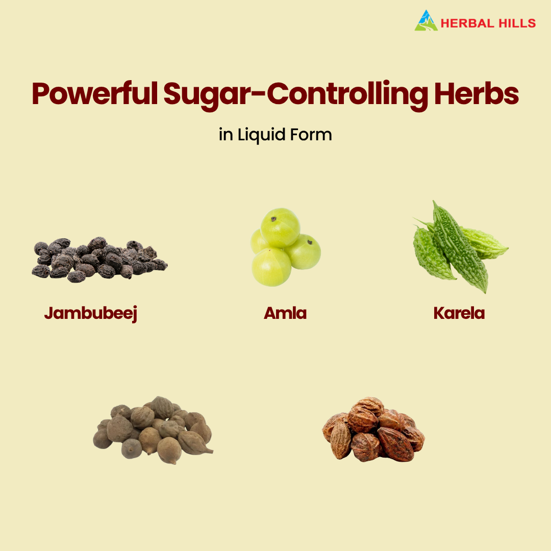 Herbal Hills Ayurveda Daibohills Tablets - Distacart