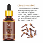 Thumbnail for Nuerma Science Clove Essential Oil For Skin, Hair & Teeth