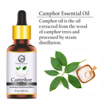 Thumbnail for Nuerma Science Camphor (Kapoor) Cold Pressed Oil For Skin & Hair Care - Distacart