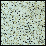 Thumbnail for halloween sprinkles mashup hm 9 120 gms