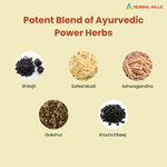 Thumbnail for Herbal Hills Sjills Forte Vitality Support Capsules
