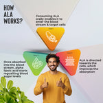 Thumbnail for Health Veda Organics Alpha Lipoic Acid Capsules - Distacart